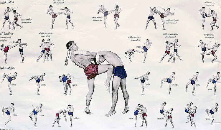 traditional muay thai fight stance