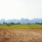 thai-rice-farmers