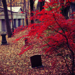 Mount-Pleasant-Cemetery-autumn